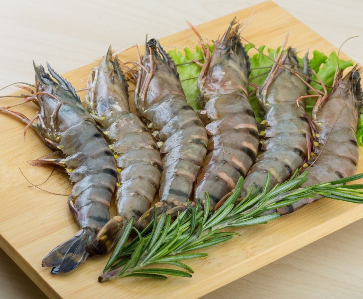 Prawn